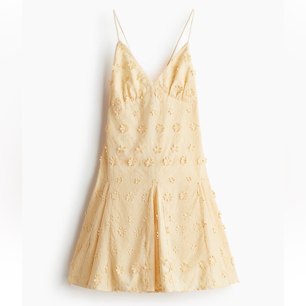 NWT H&M Appliquéd Cotton Dress